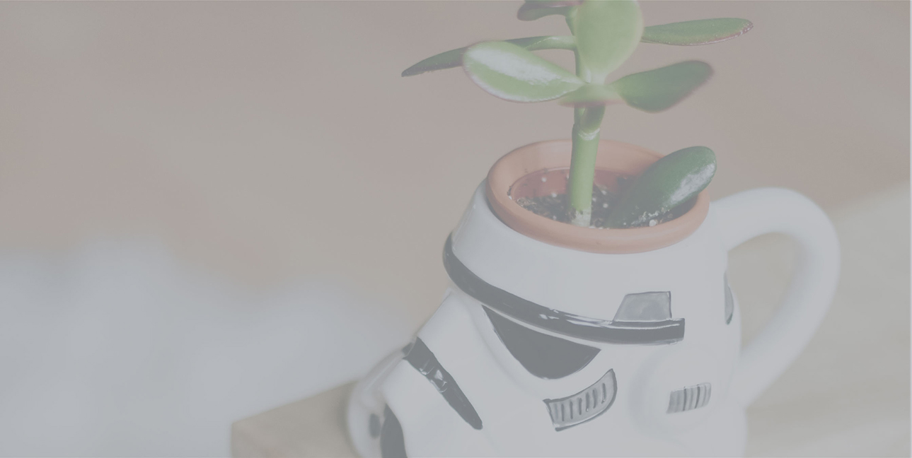 A succulent grows out of a planter that is inside of a Storm Trooper mug