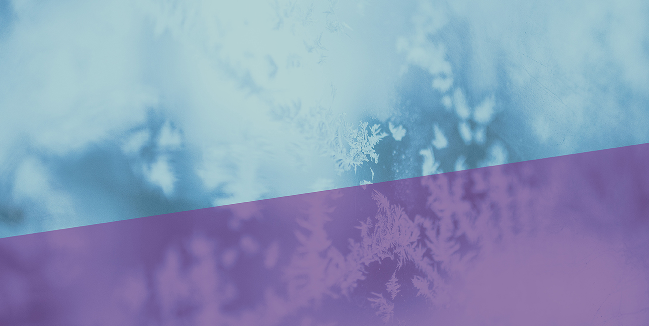 Purple and blue triangles overlay a winter forest scene.