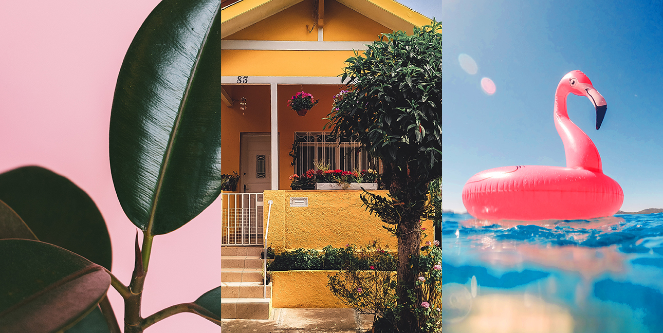 Three different summer images show lush leaves, a summer beach house, and a flamingo pool float.