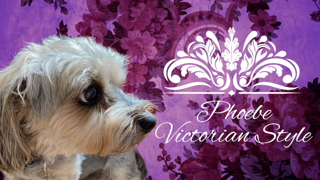 Small dog with a dark purple, vintage and floral background. The words "Pheobe" and "Victorian Style" sit under a white filigree.