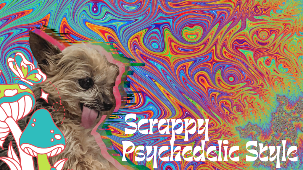 Small dog with a distorted, rainbow-colored background surrounded by mushroom elements and  the words "Scrappy" and "Psychedelic Style"