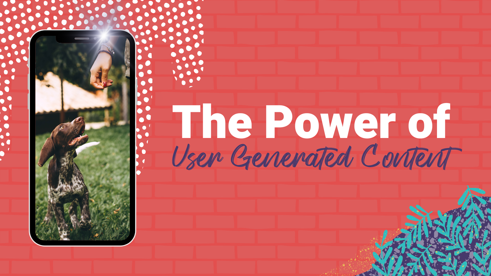A cell phone with a picture of a dog next to the words "The Power of User Generated Content"
